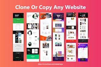 copy or redesign any wordpress website