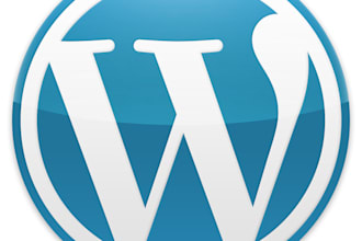 install a wordpress theme and wordpress plugins