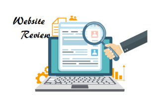 review website, test user interface and suggest improvements