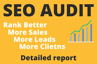 do useful seo audit and detailed strategy for your business