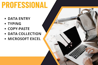 do data entry, copypaste, web research