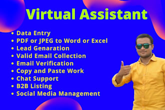 be your particular virtual assistant