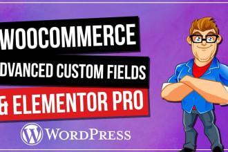 customize elementor pro, woocommerce using acf