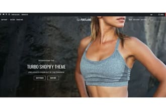 create a professional shopify store with paid or free theme