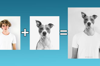 combine, manipulate your photos