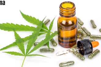 write marijuana,weeds,cannabis cbd content for you