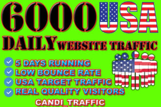 drive organic usa target traffic visitors to your website