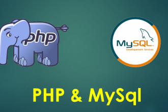 mentor you in PHP and mysql