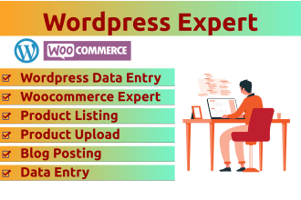 do company data collection, web scraping, data entry, and web research