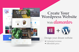develop wordpress elementor website for small business