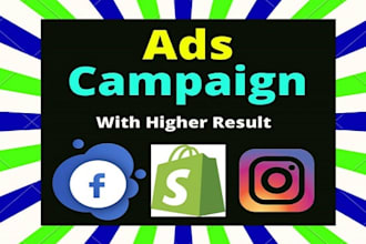setup and run facebook ads campaign for dropshipping