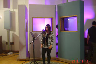 be your professional singer in spanish or english any style