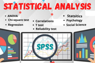 do statistical data analysis in spss and excel