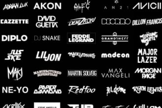 custom dj, band, music, artist, edm , dj logo design