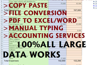 do fastest data entry, file conversion, copy paste