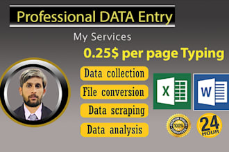 do typing job, data entry work, PDF to word or excel
