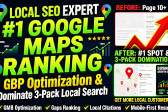 local SEO expert for maps ranking and business profile optimization