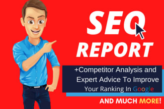 provide a professional SEO audit report, competitive website analysis
