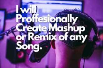professionally create a mashup or remix of any song you want