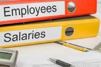 give you payroll management training