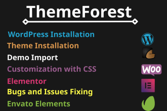 do wordpress theme installation and customization