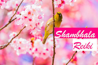 heal using reiki shamballa, karuna and egyptian