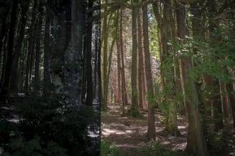 do color grading and color correction of your photos