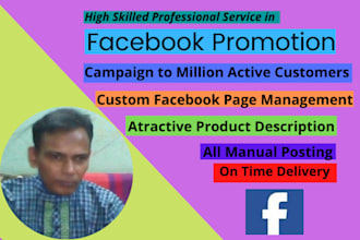 do facebook  promotion of business  of any company in USA