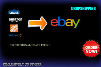 manage your ebay dropshipping store and do everything