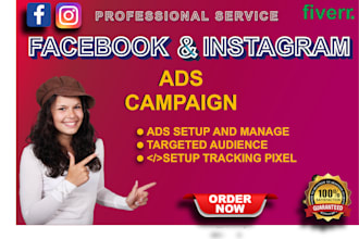 setup facebook ads campaign and be your fb ad manager