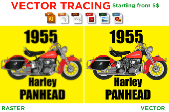 do professional vector tracing illustration redraw logo in 2hrs