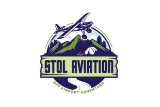 design high quality aviation logo with satisfaction guaranteed