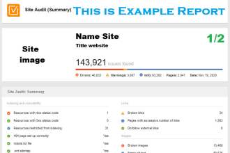 website SEO audit report using powersuite premium
