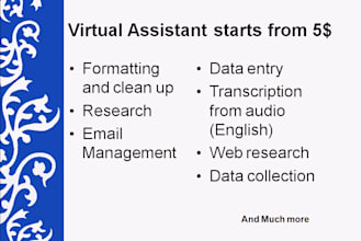 provide virtual assistant service