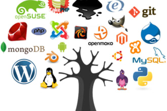 install any script and system on hosting server