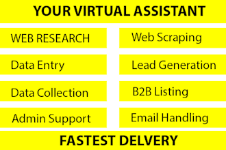 be your VA for data entry and web research