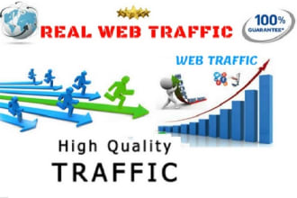 provide unlimited niche targeted web traffic to any website affiliate ebay etsy