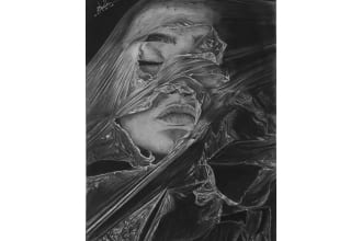 draw amazing realistic pencil sketch portrait from a photo