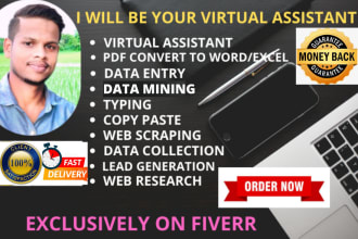 be your best virtual assistant for admin support data entry