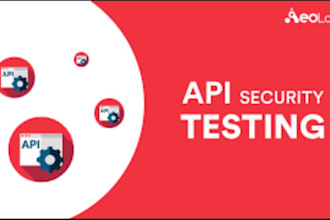 perform API penetration testing