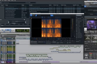 do audio repair and restoration