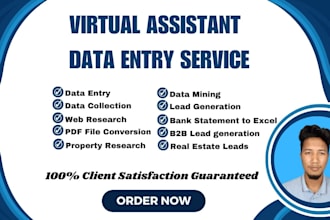 do excel data entry, web research, lead generation, virtual assistant data entry