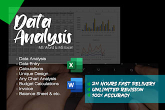 do data entry and analysis in ms excel and word