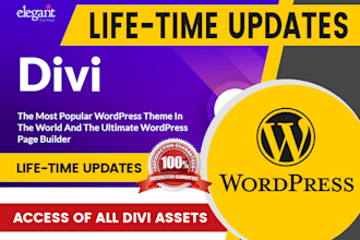 be your divi expert and install a premium divi updateable theme