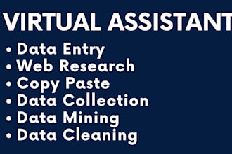 do fast, accurate data entry, excel typing and web research