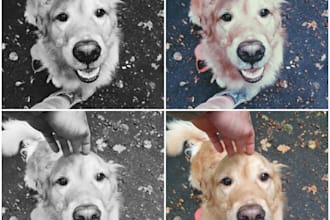improve your picture on social network