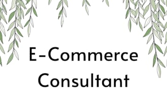 be your ecommerce business consultant