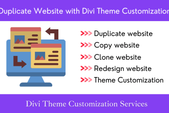 duplicate website with divi theme customization