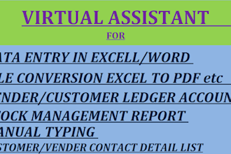 be your virtual, asisstant for data entry,accounting works