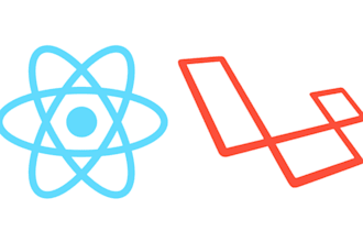 do reactjs laravel  project